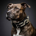 Load image into Gallery viewer, The ''Platinum'' collar
