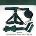 Load image into Gallery viewer, Green Velvet Set
