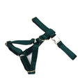 Load image into Gallery viewer, Green Velvet Set
