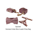 Load image into Gallery viewer, Light Purple Velvet Set
