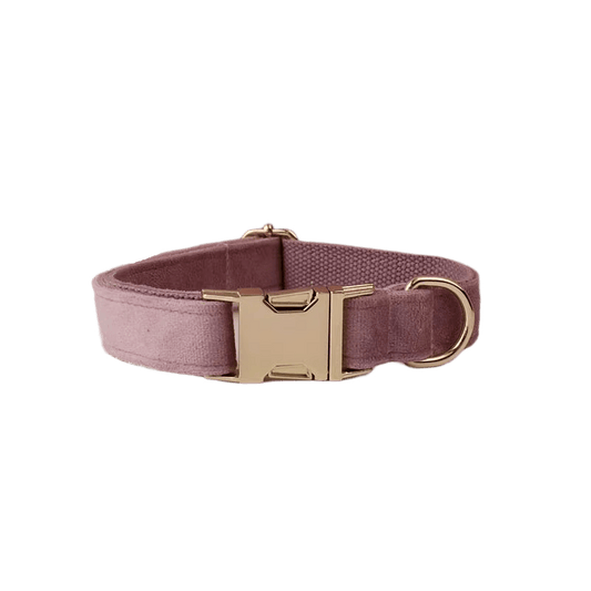 Light Purple Velvet Set