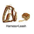 Load image into Gallery viewer, Velvet Leopard Set
