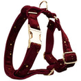 Load image into Gallery viewer, Velvet Wine Star Set
