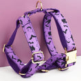 Load image into Gallery viewer, Halloween Classic Violet Print Set
