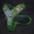 Load image into Gallery viewer, The "Eros" harness GREEN
