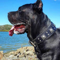 Load image into Gallery viewer, The all Black "Eros" collar 2.5 inch wide
