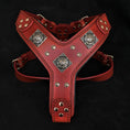 Load image into Gallery viewer, The "Eros" harness RED
