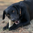 Load image into Gallery viewer, Ever Antler Nylon Chew Bone | Elk Antler Shaped Dog Toy for Aggressive Chewers | SodaPup
