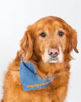 Load image into Gallery viewer, EMBROIDERED BANDANA - Southlake Paws

