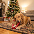 Load image into Gallery viewer, Candy Cane Nylon Dog Toy for Aggressive Chewers | USA Made | SodaPup
