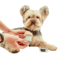 Load image into Gallery viewer, Purple Face and Paw Brush by Dog Fashion Spa
