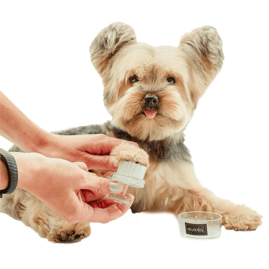 Purple Face and Paw Brush by Dog Fashion Spa