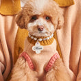 Load image into Gallery viewer, Nooee Pet Fawn Sweater
