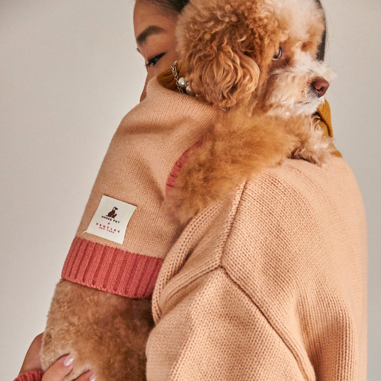 Nooee Pet Fawn Sweater