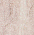 Load image into Gallery viewer, Carrier Square Blanket, Fawn Rosewater 
