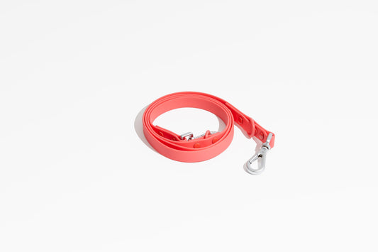 Luxe Leash - Poppy - Southlake Paws