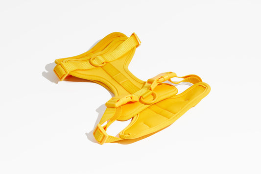 Luxe Harness - Soleil - Southlake Paws