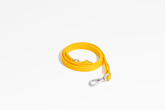 Luxe Leash - Soleil - Southlake Paws