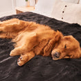Load image into Gallery viewer, PupProtector™ Short Fur Waterproof Throw Blanket - Midnight Black
