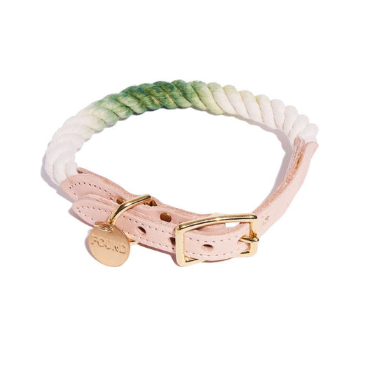 Dog Collars Premium Fern Green Ombre Cotton Rope Cat & Dog Collar