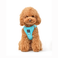 Load image into Gallery viewer, DOGISTRY SoHo Dog Harness - Fifth Avenue
