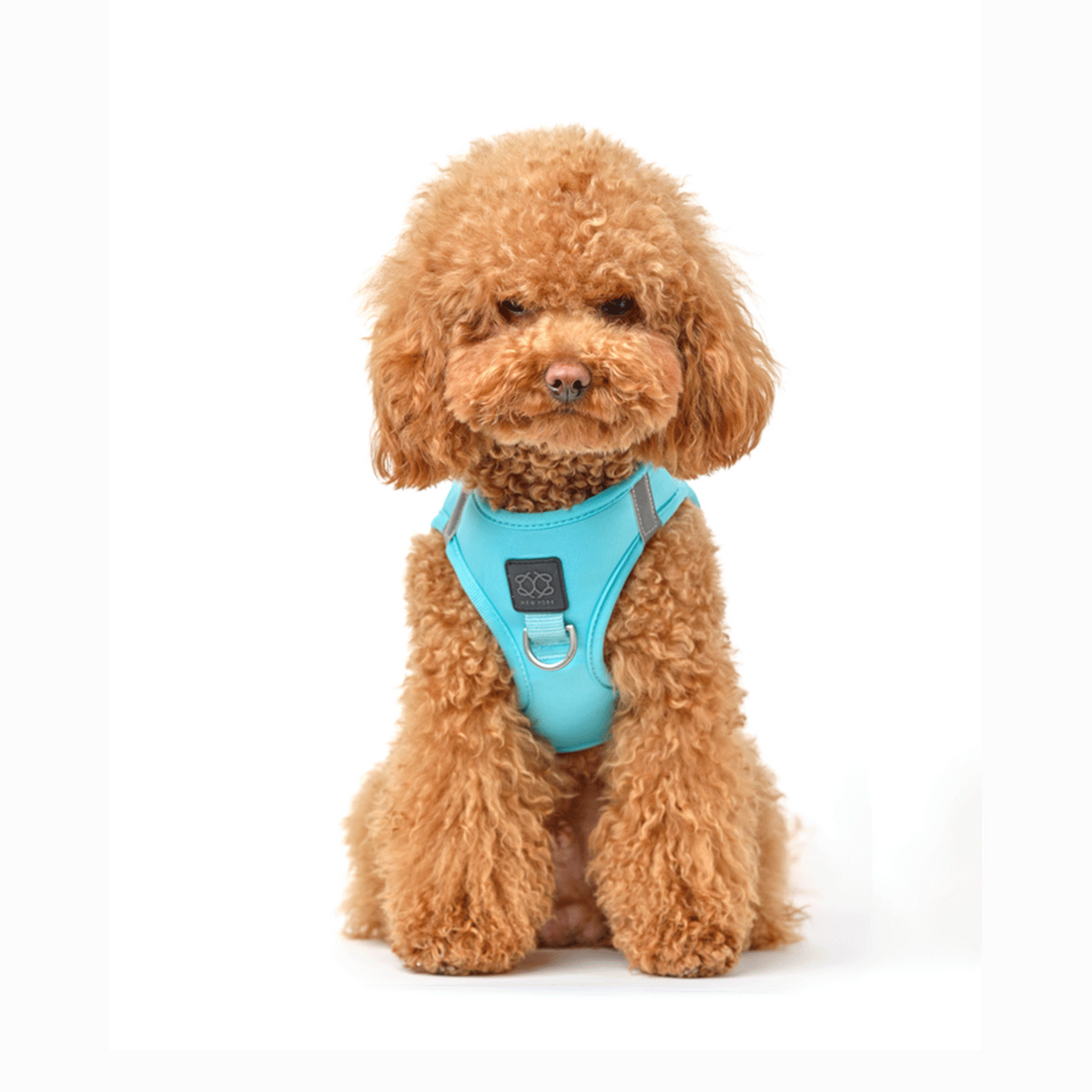 DOGISTRY SoHo Dog Harness - Fifth Avenue