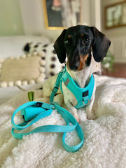 City Dog Leash - Fifth Avenue Blue 