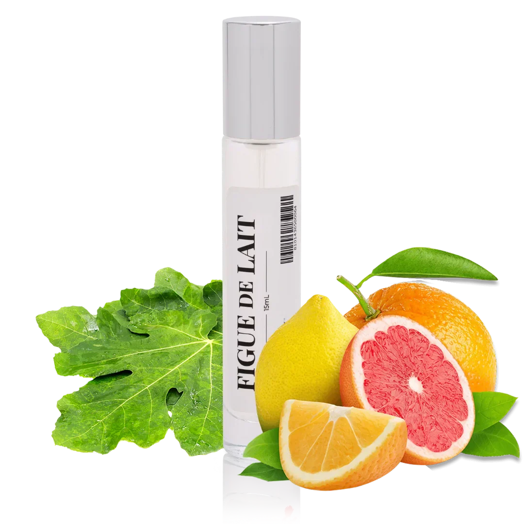  professional dog grooming tool Southlake Paws