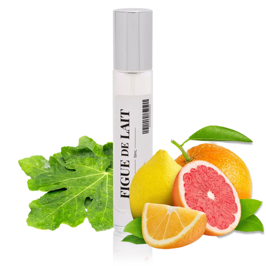  professional dog grooming tool Southlake Paws