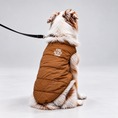 Load image into Gallery viewer, Furline Coat
