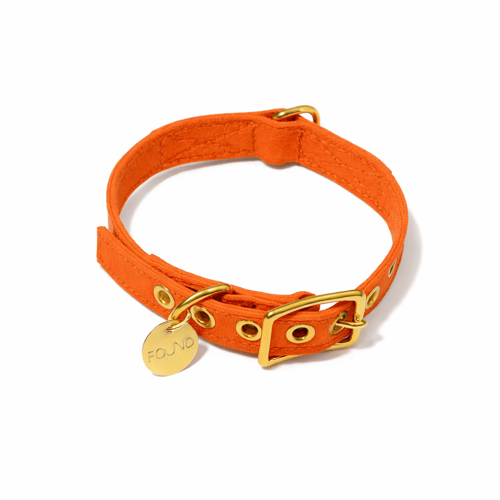 Dog Collars Premium Orange Waxed Cotton Canvas Cat & Dog Collar