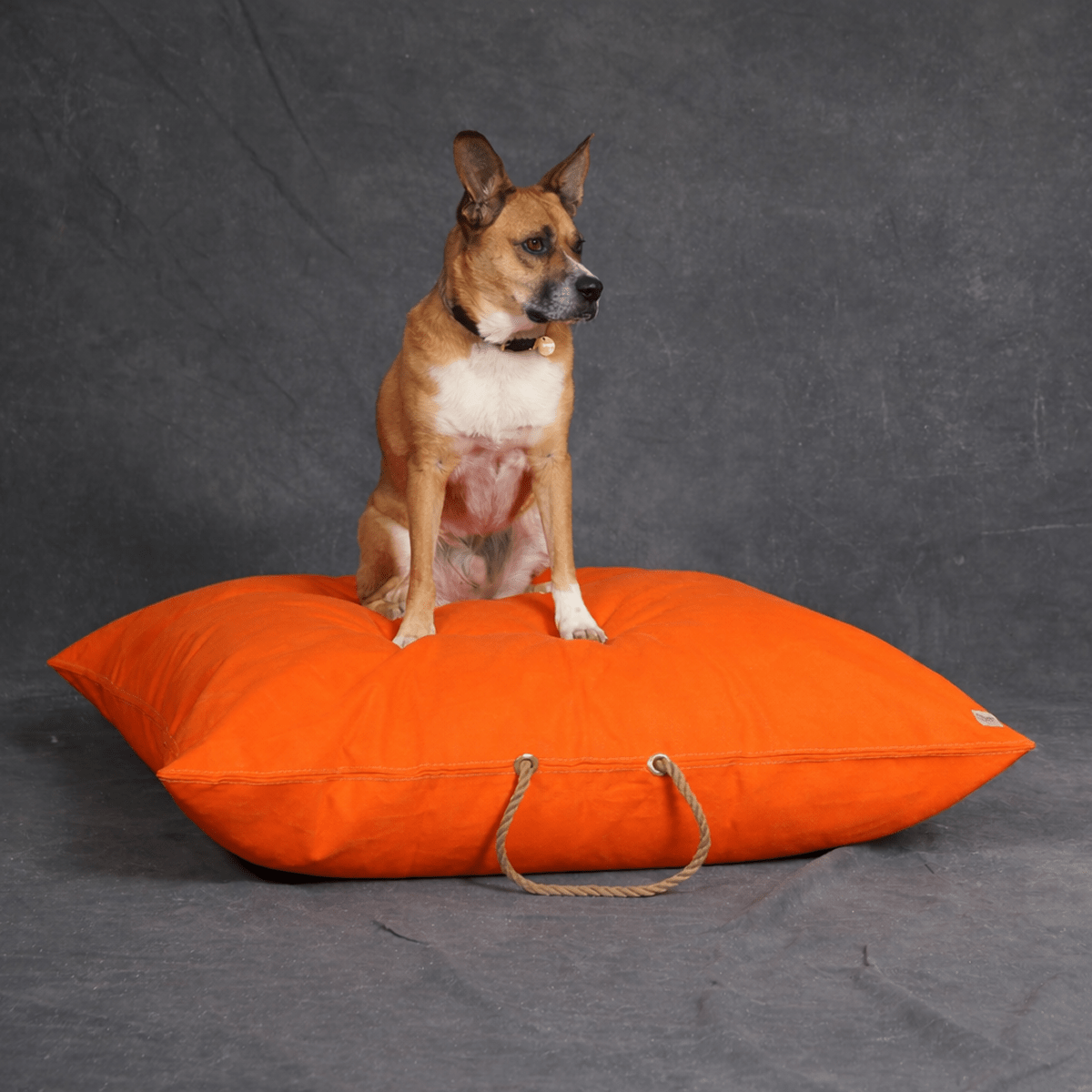 Dog Beds Premium Fire Orange Waxed Cotton Canvas Dog Bed