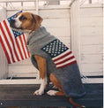 Load image into Gallery viewer, American Flag Wool Dog Sweater
