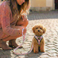 Load image into Gallery viewer, EcoBark Step In Dog Harness - XXXS to Small Breeds- Reflective Soft Mesh Harness for Teacup, Small Dogs and Puppies / French Floral
