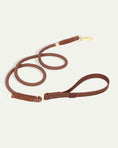 Load image into Gallery viewer, Flow Rope Leash - Cocoa
