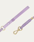 Load image into Gallery viewer, Flow Rope Leash - Lilac
