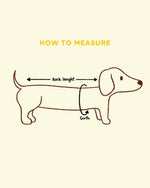 Flower Power Dog T-shirt 