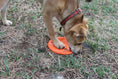 Load image into Gallery viewer, Bottle Top Flyer Durable Rubber Retrieving Frisbee - Orange
