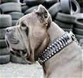 Load image into Gallery viewer, The ''Steampunk'' collar exclusive design
