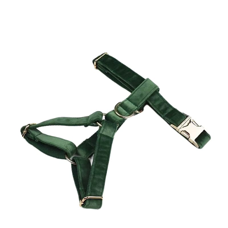 Forest Green Velvet Set
