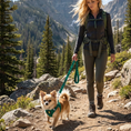 Load image into Gallery viewer, EcoBark Step In Dog Harness - XXXS to Small Breeds- Reflective Soft Mesh Harness for Teacup, Small Dogs and Puppies / Forest Green
