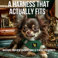 Load image into Gallery viewer, EcoBark Step In Dog Harness - XXXS to Small Breeds- Reflective Soft Mesh Harness for Teacup, Small Dogs and Puppies / Forest Green
