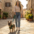 Load image into Gallery viewer, EcoBark Forest Green Dog Harness - Over-the-Head Vest Halter Soft Mesh for Small to Medium Dogs
