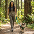 Load image into Gallery viewer, EcoBark Forest Green Dog Harness - Over-the-Head Vest Halter Soft Mesh for Small to Medium Dogs
