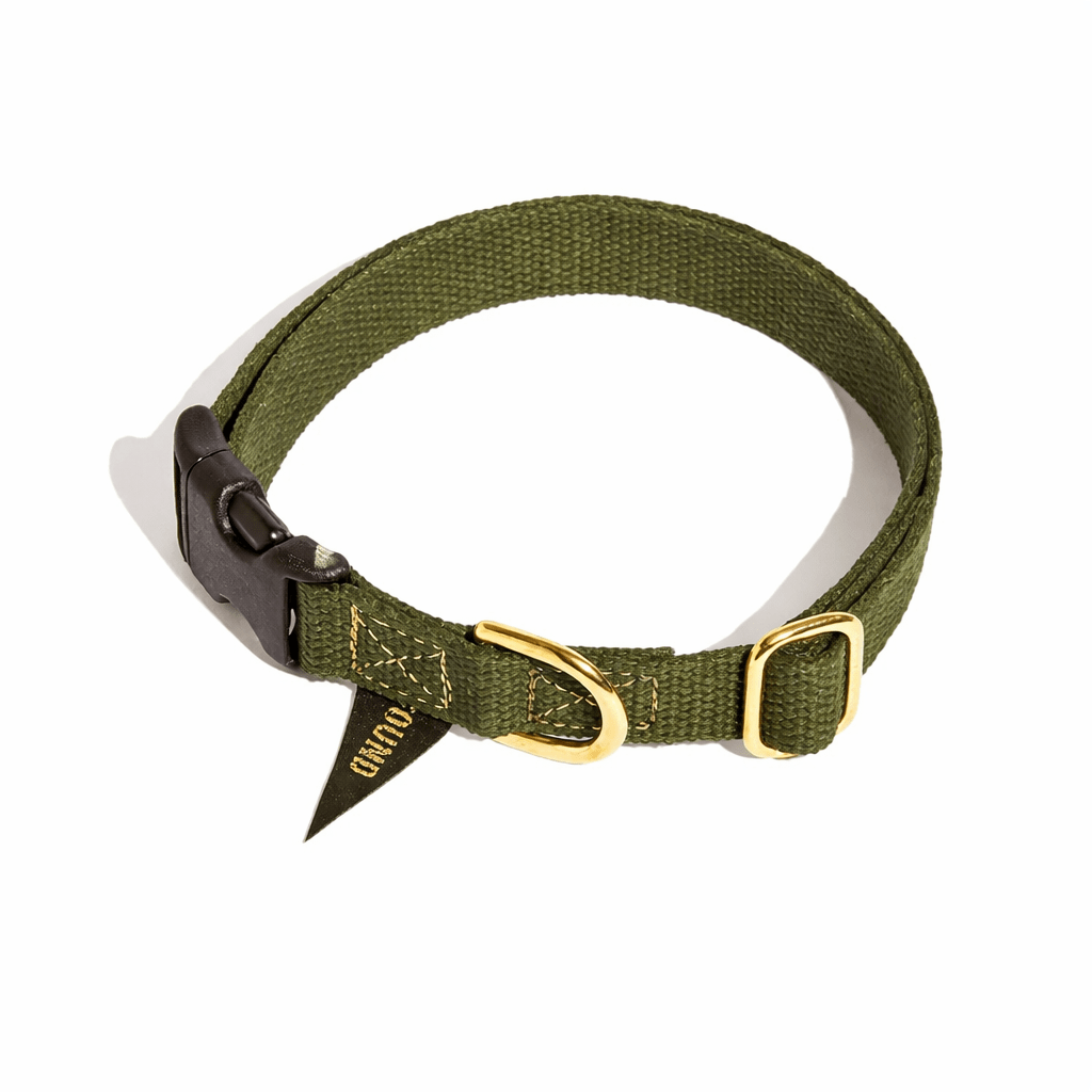 Dog Collars Premium Found Classic Cotton Dog Collar | Olive