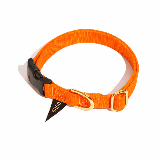 Dog Collars Premium Found Classic Cotton Dog Collar | Orange