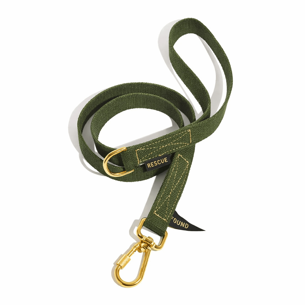 Standard 5ft Leads Premium Found Classic Cotton Dog Leash | Olive