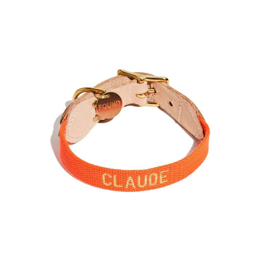 Dog Collars Premium Found Classic Cotton Webbing Dog Collar | Orange