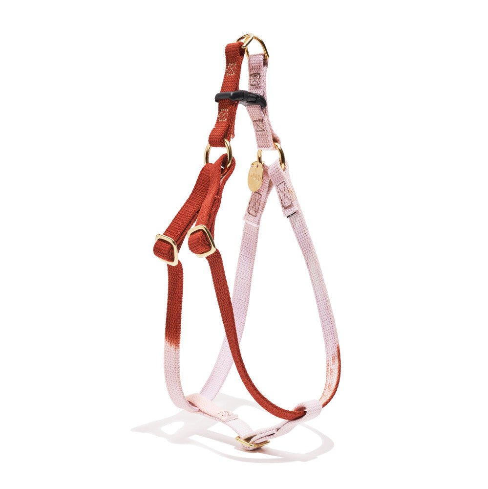 Dog & Cat Harnesses Premium Arizona Cotton Rope Dog & Cat Harness – Handmade, Durable & Stylish | Found My Animal