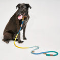 Load image into Gallery viewer, Azure Cotton Rope Dog Leash by Found My Animal, Adjustable
